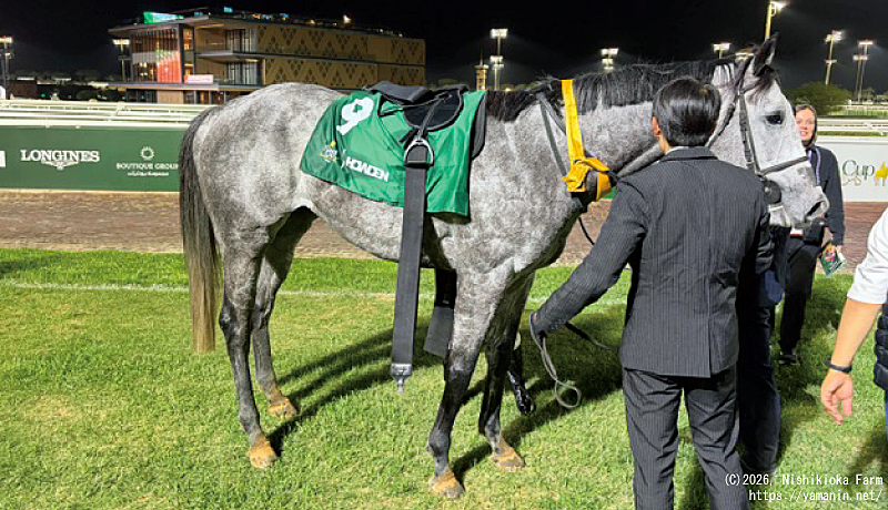 ネオムターフカップのヤマニンブークリエ