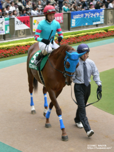 府中牝馬S・ヤマニンメルベイユ