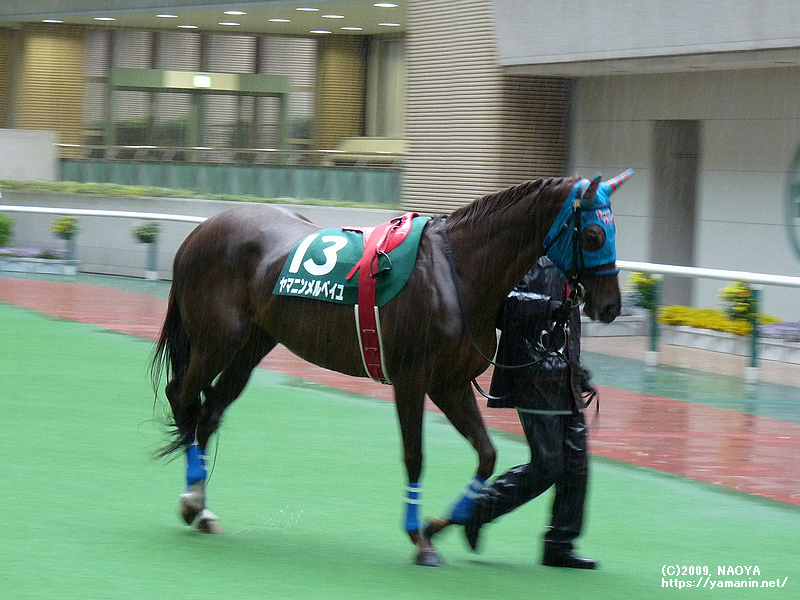 2009年 福島牝馬S・ヤマニンメルベイユ