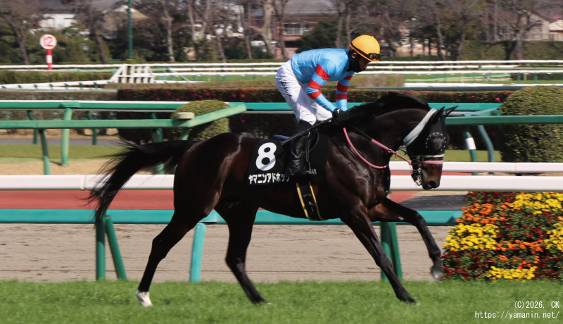 富里特別・本馬場入場するヤマニンアドホック