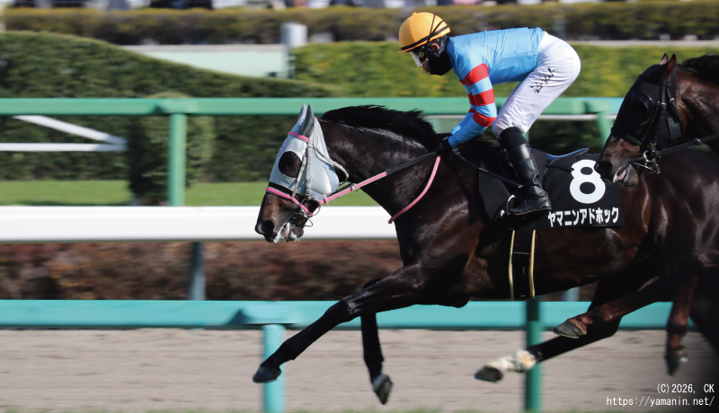 富里特別・1周目でハナを切るヤマニンアドホック