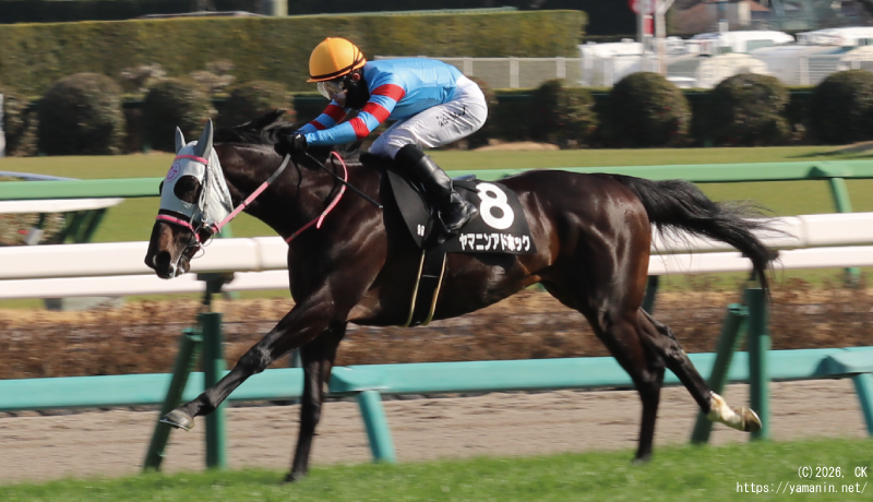 富里特別・ゴールに向かうヤマニンアドホック