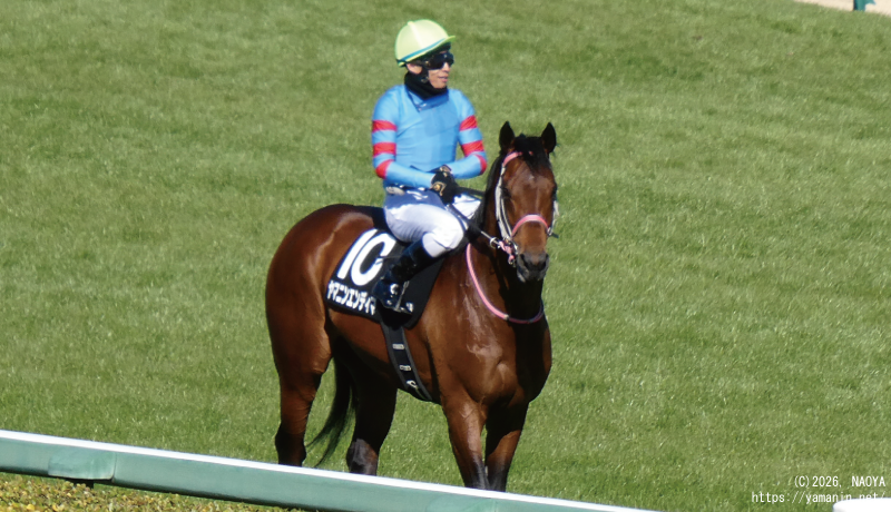 湾岸ステークス・引き揚げてくるヤマニンエンディマ