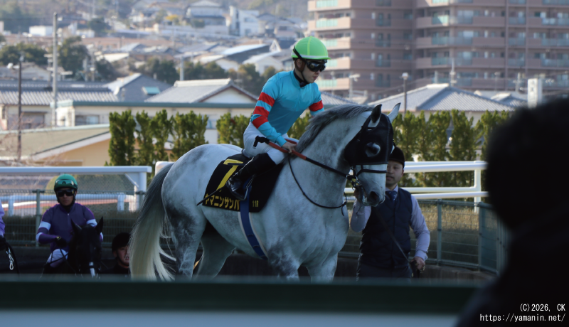 大阪城ステークス・本馬場に入るヤマニンサンパ