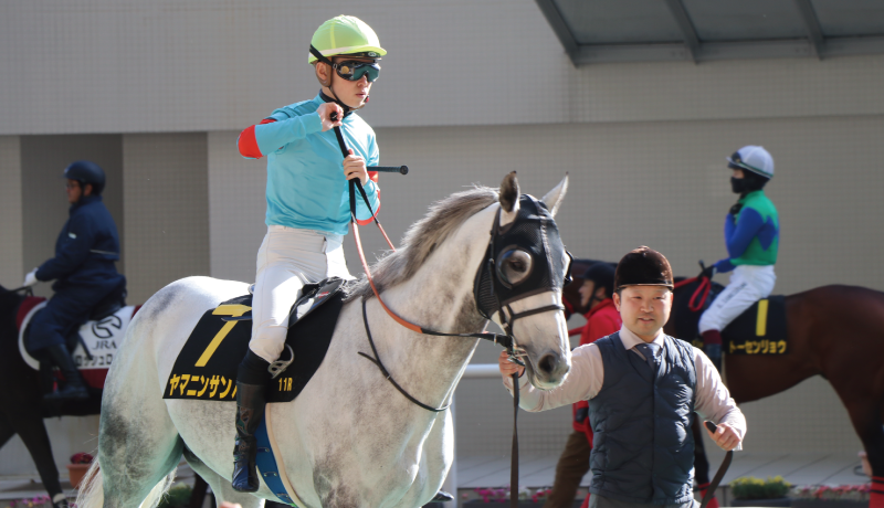 大阪城ステークス・パドックのヤマニンサンパ