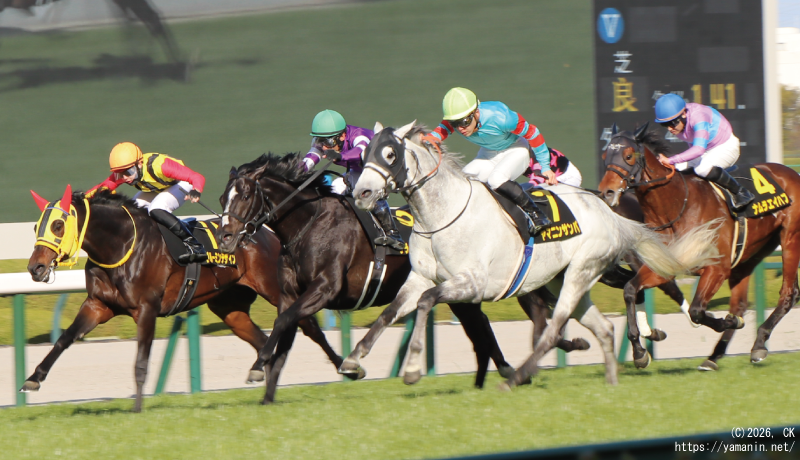 大阪城ステークス・ゴールに向かうヤマニンサンパ