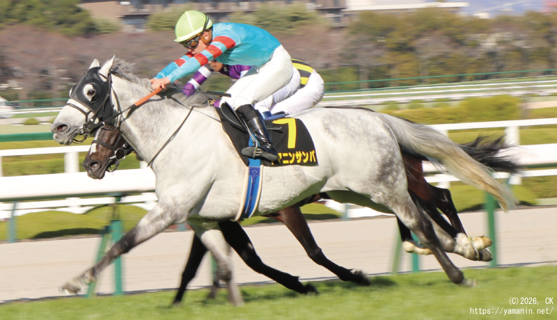 大阪城ステークス・ゴールに向かうヤマニンサンパ