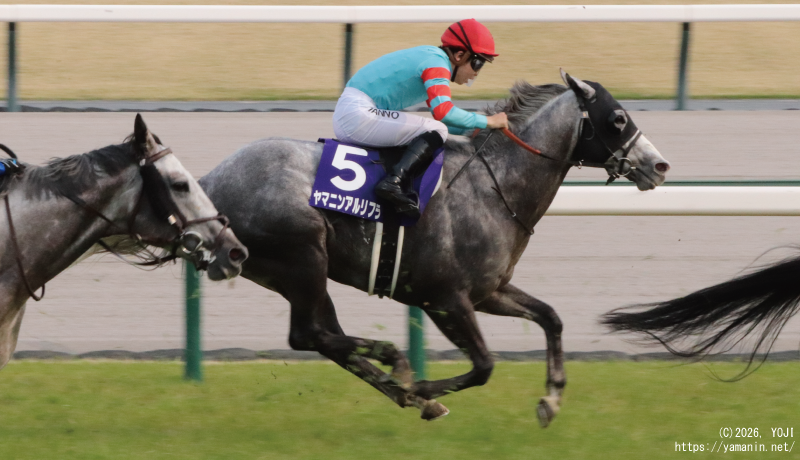 高松宮記念・ゴールに向かうヤマニンアルリフラ