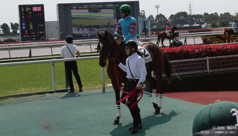 3歳未勝利・本馬場に入場するヤマニンフェイエル