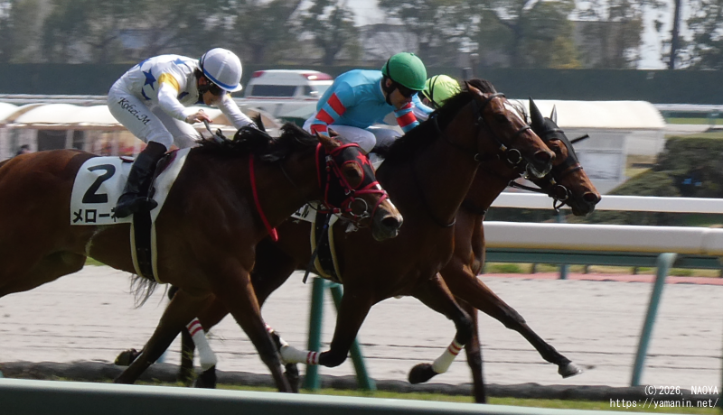 3歳未勝利・ゴール前のヤマニンフェイエル