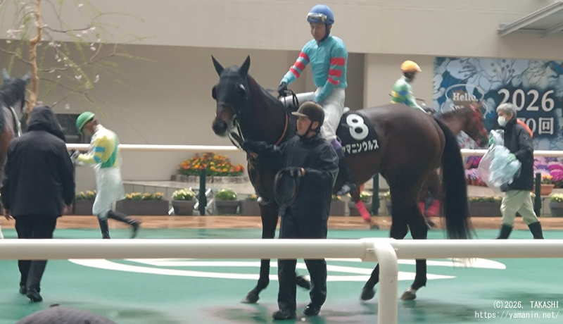 ポラリスS(OP)・パドックのヤマニンウルス