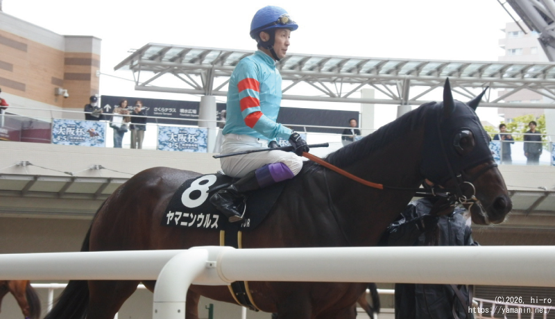 ポラリスS(OP)・パドックのヤマニンウルス