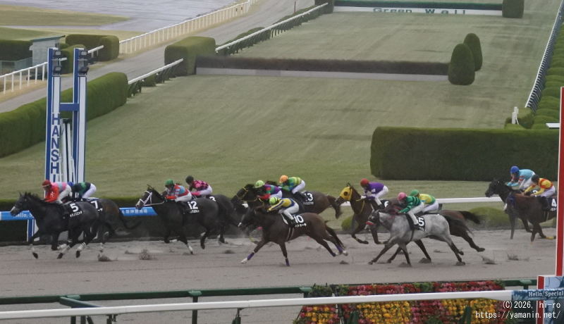 ポラリスS(OP)・ゴールするヤマニンウルス