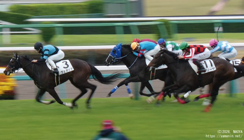 ３歳未勝利・ゴール前のヤマニンアレシス