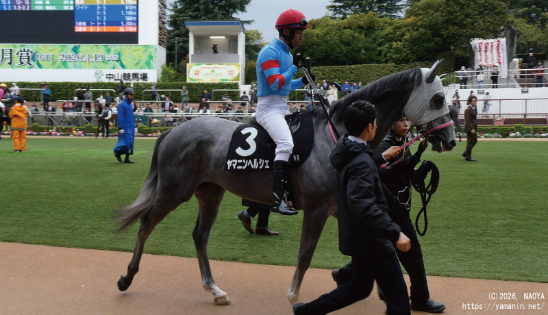 山吹賞･パドックのヤマニンヘルシェ