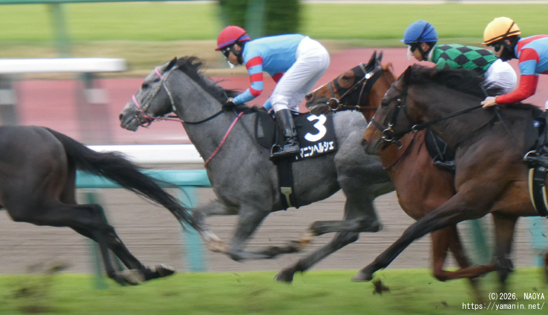 山吹賞･１周目のヤマニンヘルシェ