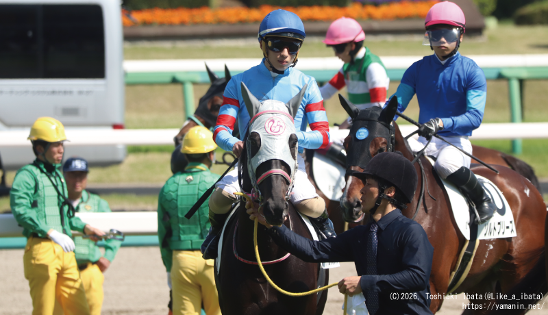 自己条件戦・スターター前のヤマニンガラッシア