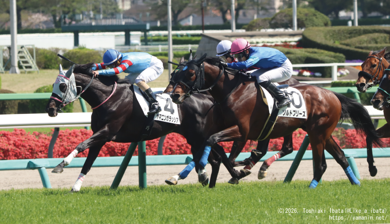 自己条件戦・ゴールに向かうヤマニンガラッシア