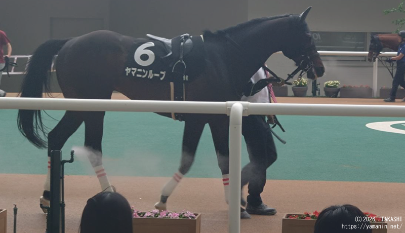 蓬莱峡特別・パドックのヤマニンループ