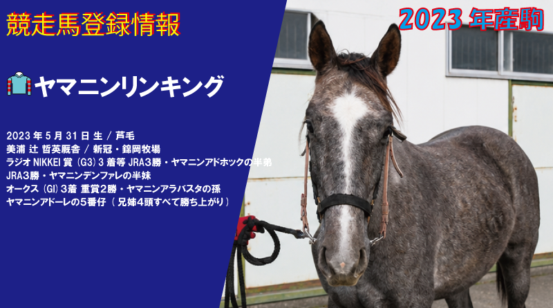 競走馬登録・ヤマニンリンキング