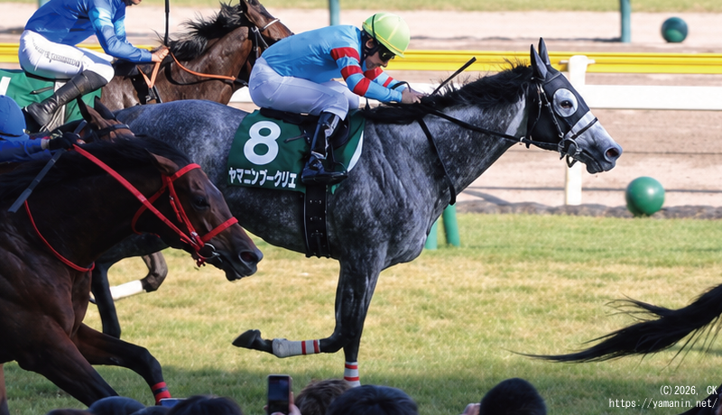 新潟大賞典・ゴール前のヤマニンブークリエ