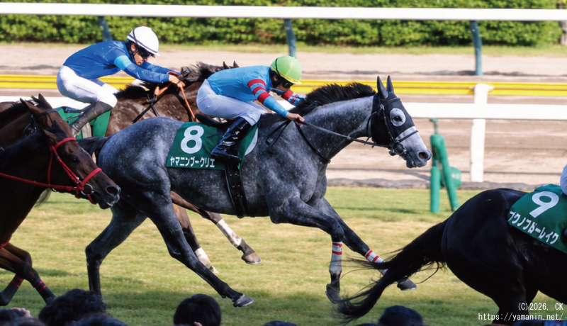 新潟大賞典・ゴール前のヤマニンブークリエ