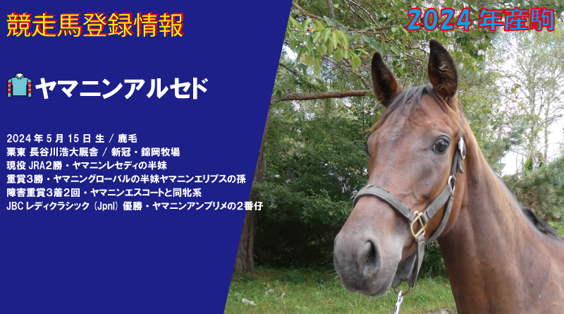 競走馬登録・ヤマニンアルセド