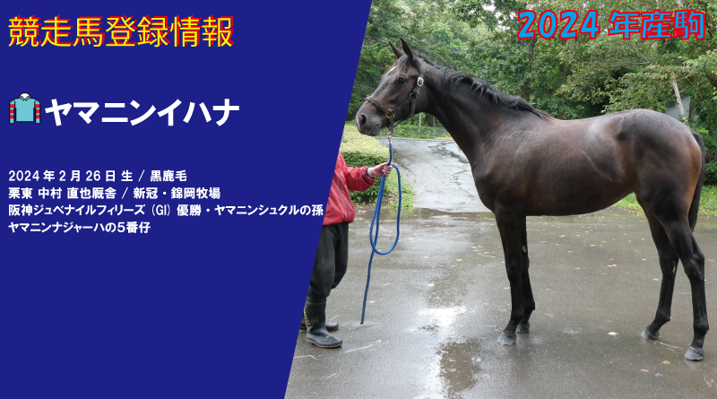競走馬登録・ヤマニンイハナ