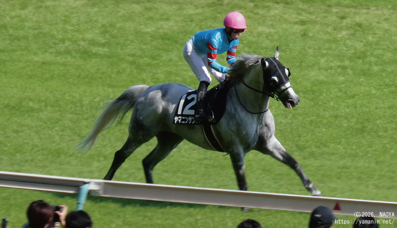 ジューンステークス・本馬場入場するヤマニンサンパ