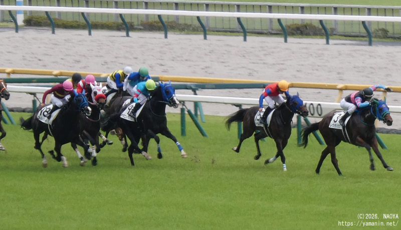 3歳未勝利・最後の直線のヤマニンアレシス