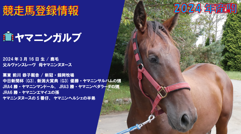 競走馬登録・ヤマニンガルブ