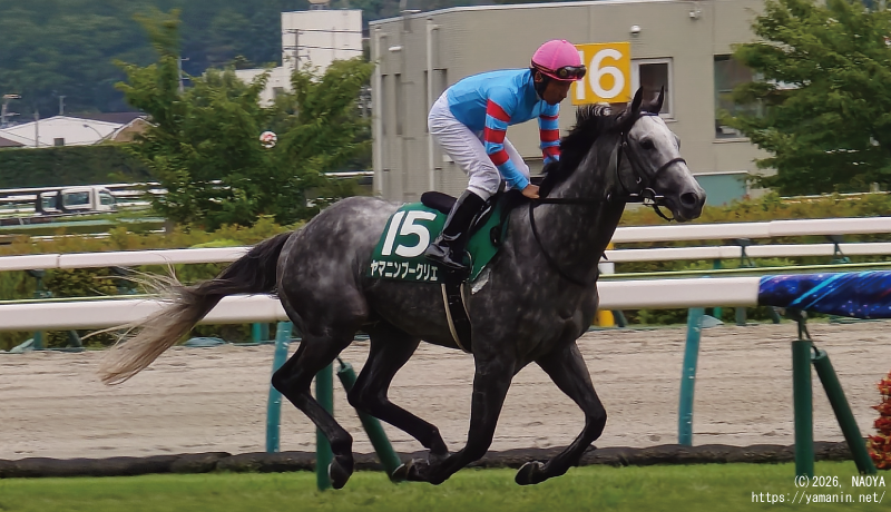 七夕賞・本馬場入場するヤマニンブークリエ