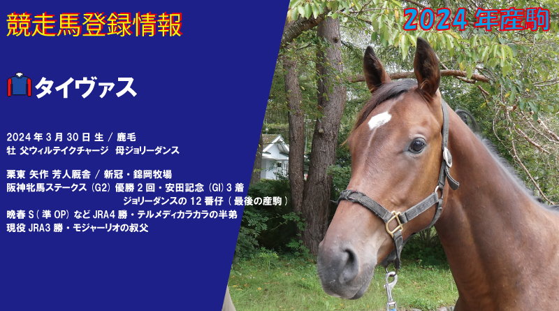競走馬登録・タイヴァス