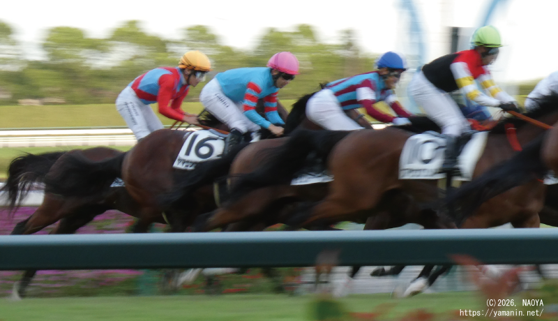 自己条件戦・ゴールに向かうヤマニンフェイエル