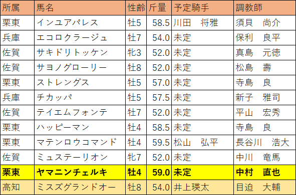 第26回 サマーチャンピオン・選定馬R2