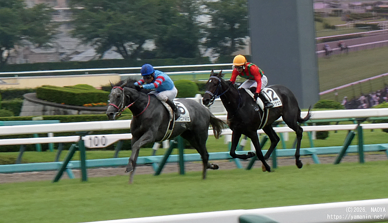 自己条件戦・ゴールに向けて先頭を交わすヤマニンヘルシェ