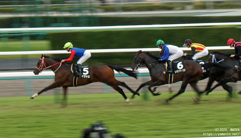 芙蓉ステークス・1周目のタイヴァス