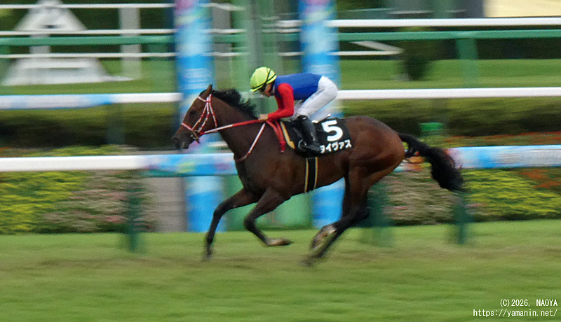芙蓉ステークス・ゴールするタイヴァス