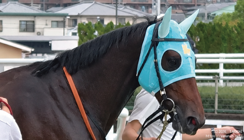 デビュー戦・ウイナーズサークルのヤマニンガルブ