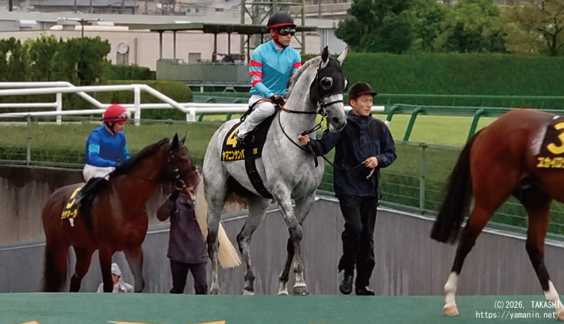 ポートアイランドステークス・本馬場入場するヤマニンサンパ