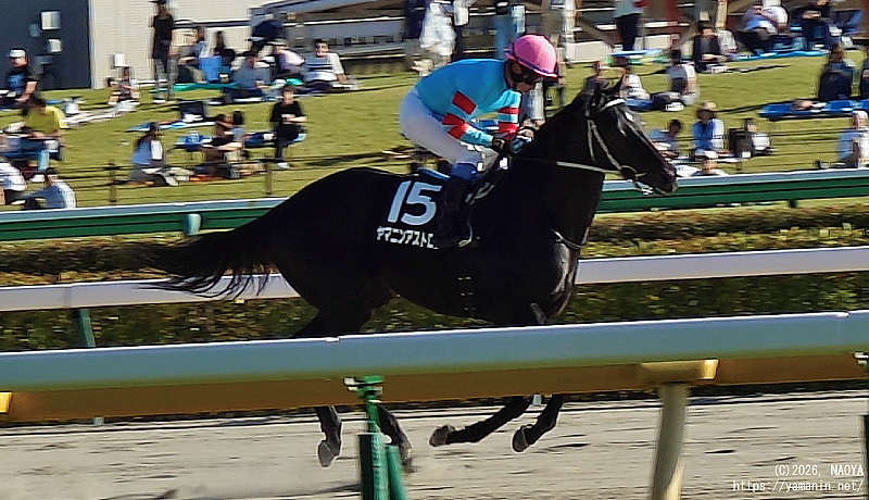 テレビ静岡賞・本馬場に入るヤマニンアストロン